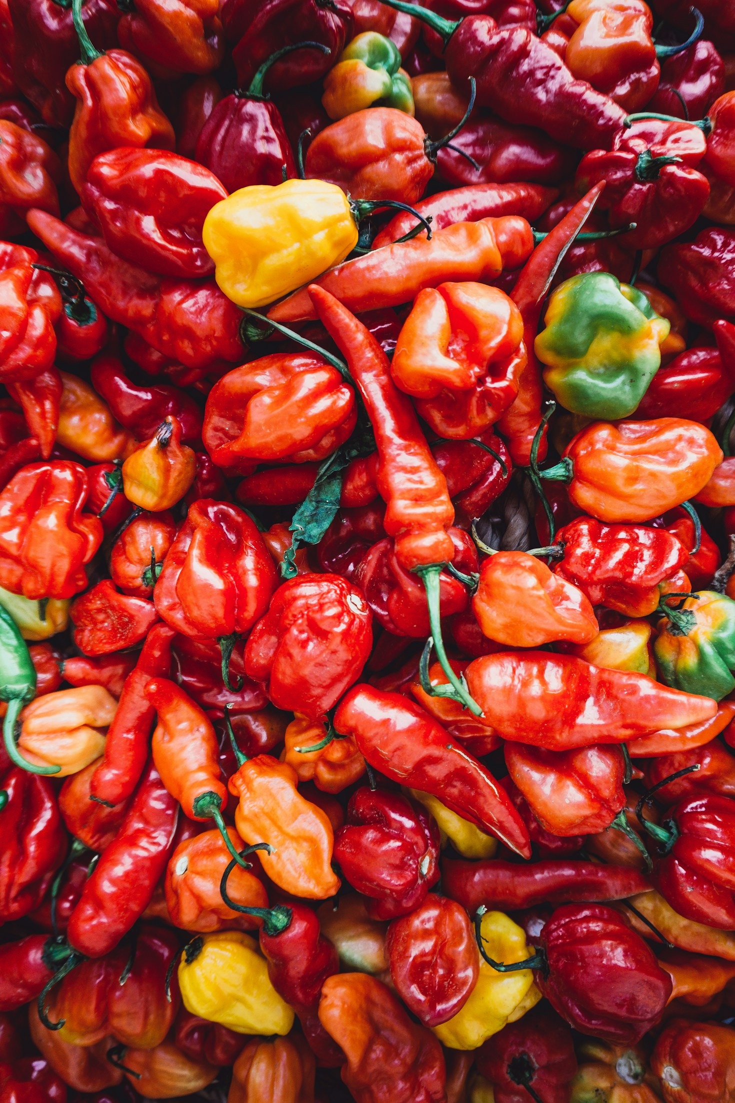 The Art of Norwegian-Style Hot Sauce Making