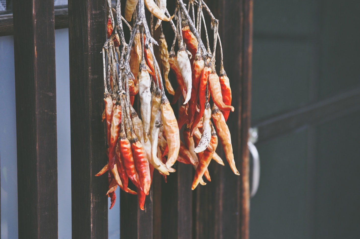 Top Ways to Use Glød Hotsauce in Cooking
